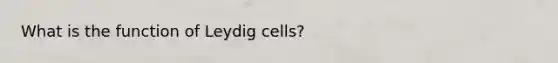 What is the function of Leydig cells?