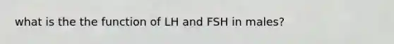 what is the the function of LH and FSH in males?