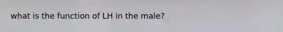 what is the function of LH in the male?