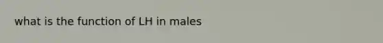 what is the function of LH in males