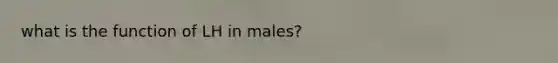 what is the function of LH in males?