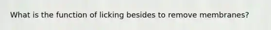 What is the function of licking besides to remove membranes?