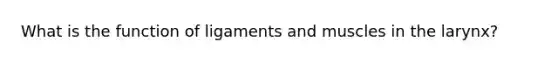 What is the function of ligaments and muscles in the larynx?