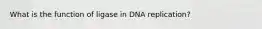 What is the function of ligase in DNA replication?