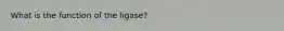 What is the function of the ligase?