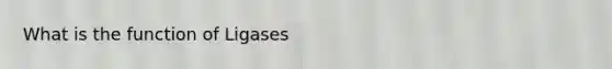 What is the function of Ligases