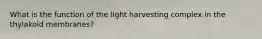 What is the function of the light harvesting complex in the thylakoid membranes?
