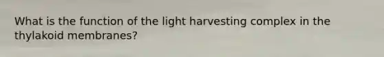 What is the function of the light harvesting complex in the thylakoid membranes?