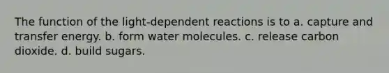 The function of the light-dependent reactions is to a. capture and transfer energy. b. form water molecules. c. release carbon dioxide. d. build sugars.