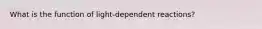 What is the function of light-dependent reactions?