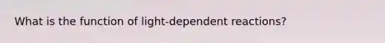 What is the function of light-dependent reactions?