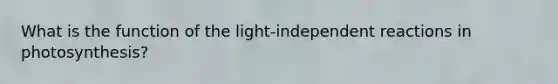 What is the function of the light-independent reactions in photosynthesis?