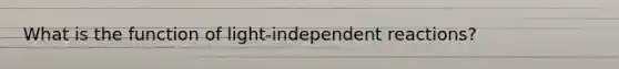 What is the function of light-independent reactions?