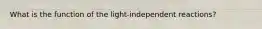 What is the function of the light-independent reactions?