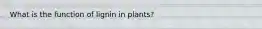 What is the function of lignin in plants?