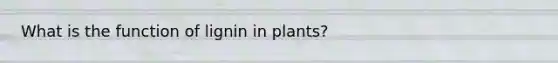 What is the function of lignin in plants?