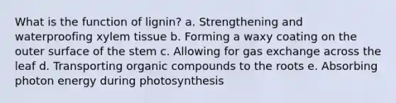 What is the function of lignin? a. Strengthening and waterproofing xylem tissue b. Forming a waxy coating on the outer surface of the stem c. Allowing for gas exchange across the leaf d. Transporting organic compounds to the roots e. Absorbing photon energy during photosynthesis