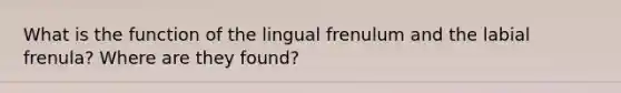 What is the function of the lingual frenulum and the labial frenula? Where are they found?