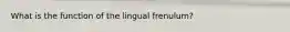 What is the function of the lingual frenulum?
