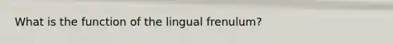 What is the function of the lingual frenulum?