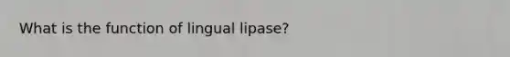 What is the function of lingual lipase?