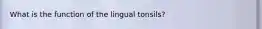 What is the function of the lingual tonsils?