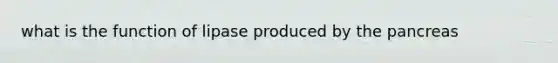 what is the function of lipase produced by the pancreas