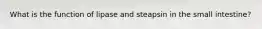 What is the function of lipase and steapsin in the small intestine?