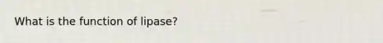 What is the function of lipase?