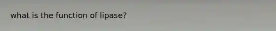 what is the function of lipase?
