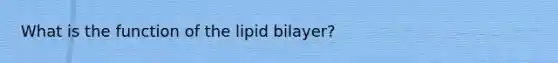 What is the function of the lipid bilayer?