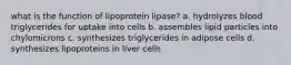 what is the function of lipoprotein lipase? a. hydrolyzes blood triglycerides for uptake into cells b. assembles lipid particles into chylomicrons c. synthesizes triglycerides in adipose cells d. synthesizes lipoproteins in liver cells