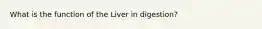 What is the function of the Liver in digestion?