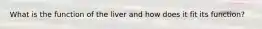 What is the function of the liver and how does it fit its function?
