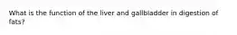 What is the function of the liver and gallbladder in digestion of fats?