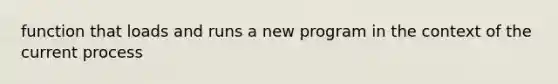 function that loads and runs a new program in the context of the current process