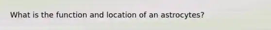 What is the function and location of an astrocytes?