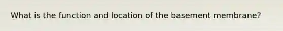 What is the function and location of the basement membrane?