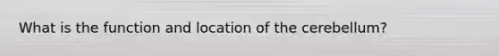 What is the function and location of the cerebellum?