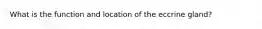 What is the function and location of the eccrine gland?