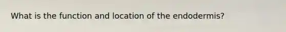 What is the function and location of the endodermis?