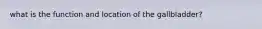 what is the function and location of the gallbladder?