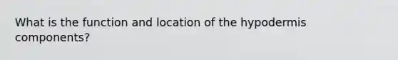 What is the function and location of the hypodermis components?