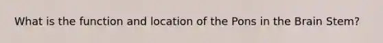 What is the function and location of the Pons in the Brain Stem?