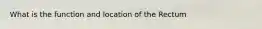 What is the function and location of the Rectum