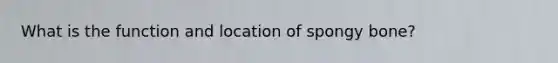 What is the function and location of spongy bone?