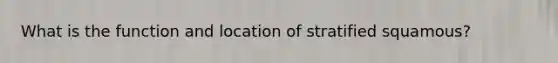 What is the function and location of stratified squamous?