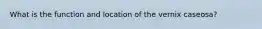 What is the function and location of the vernix caseosa?