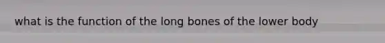 what is the function of the long bones of the lower body