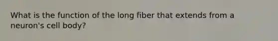 What is the function of the long fiber that extends from a neuron's cell body?